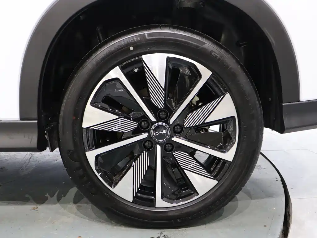 BYD SONGJIANG NEW ENERGY