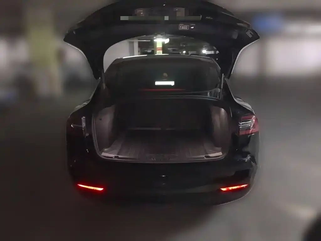 Tesla Model 3 — миниатюра 20