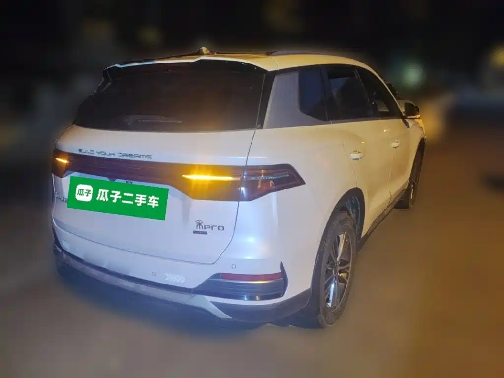 BYD Pro — миниатюра 4