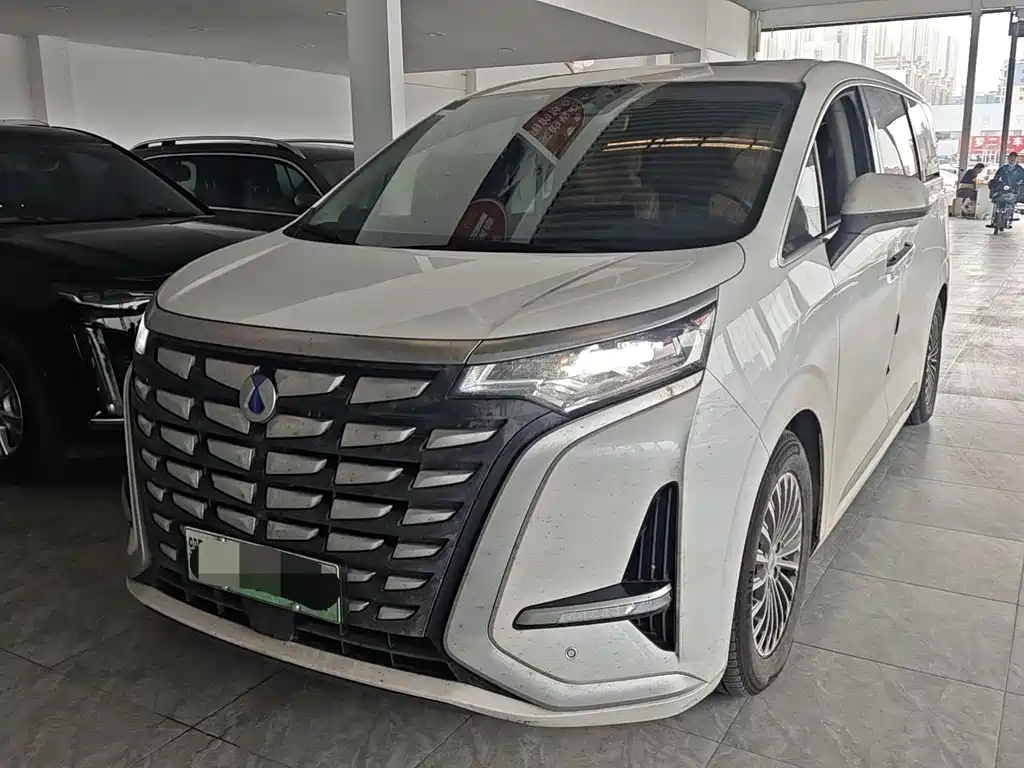 Denza Denza D9 2025