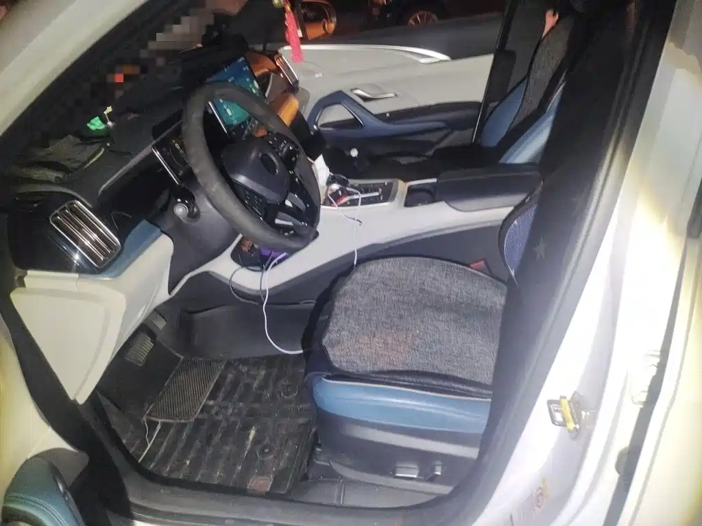 BYD Pro — миниатюра 11