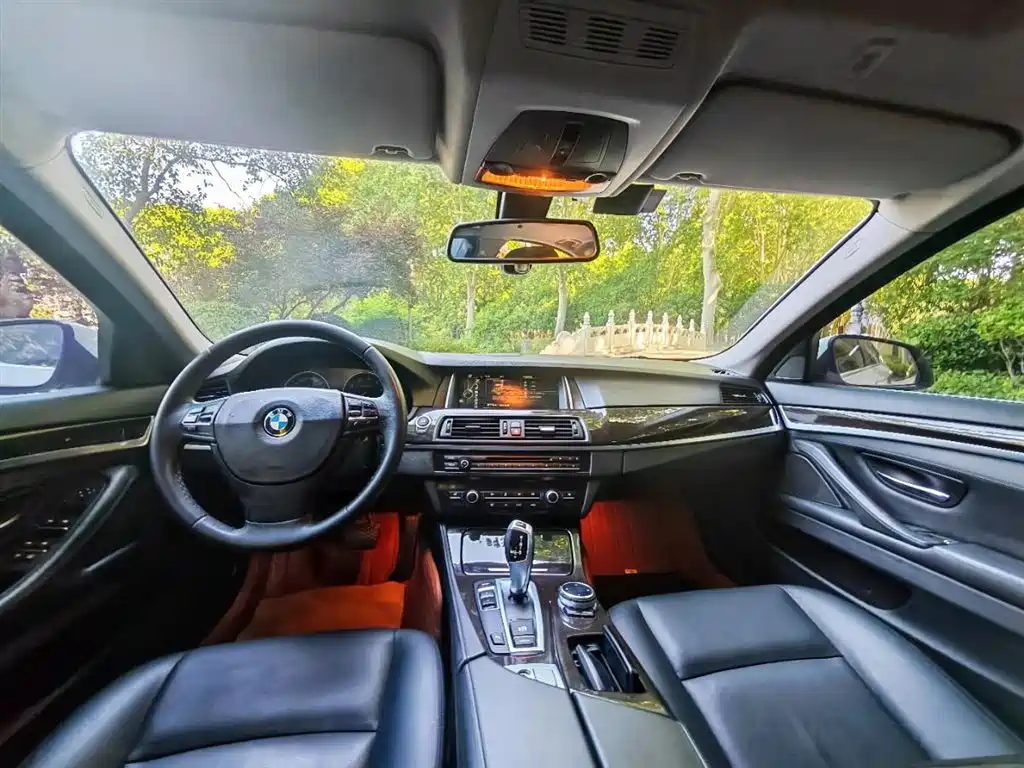 BMW 5 Series 5 2014 530Li Lead