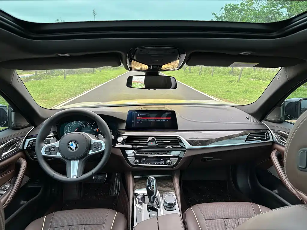 BMW 5 Series 5 2019 530Li Premium M Sport