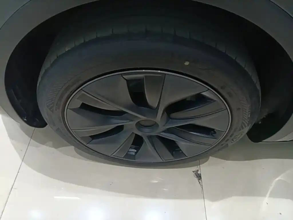Tesla Model Y — миниатюра 23
