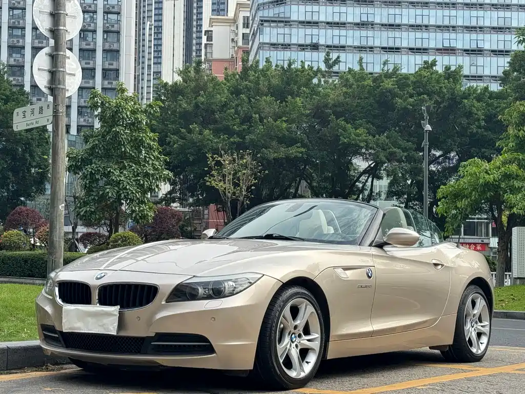 BMW Z4 2009