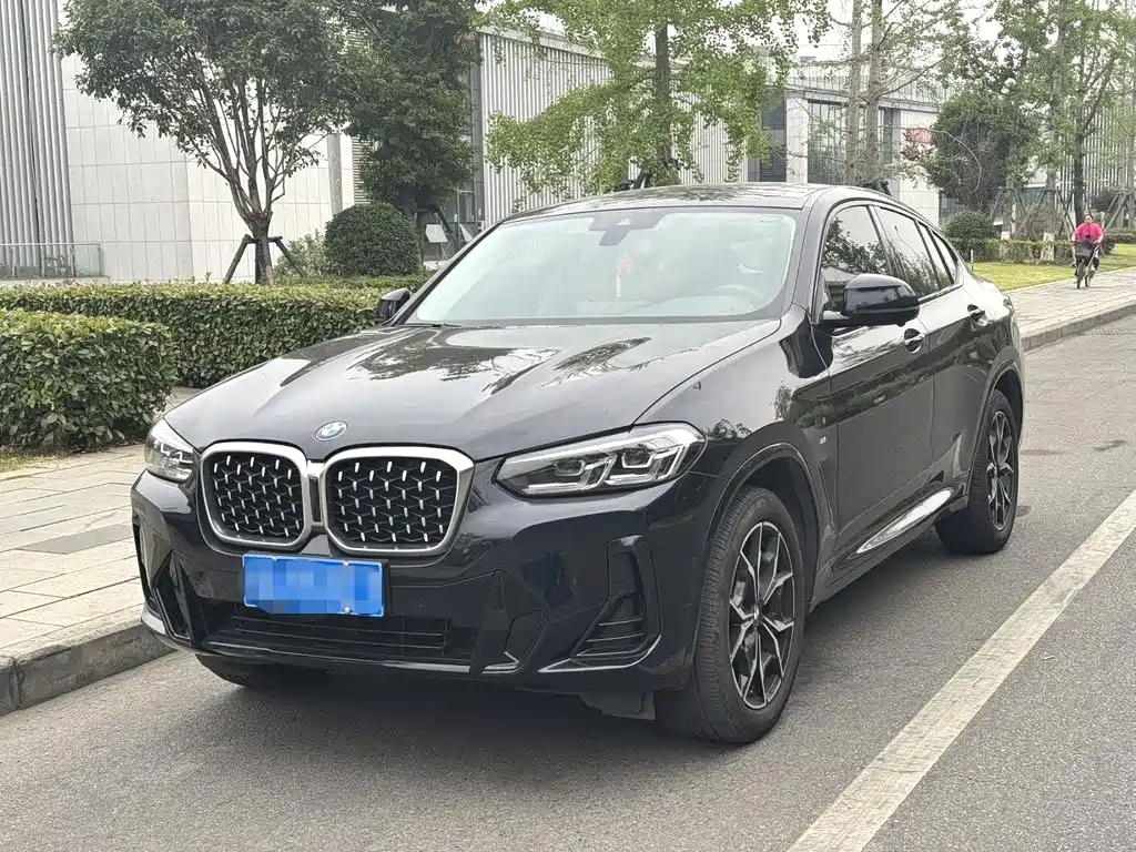 BMW X4 2021
