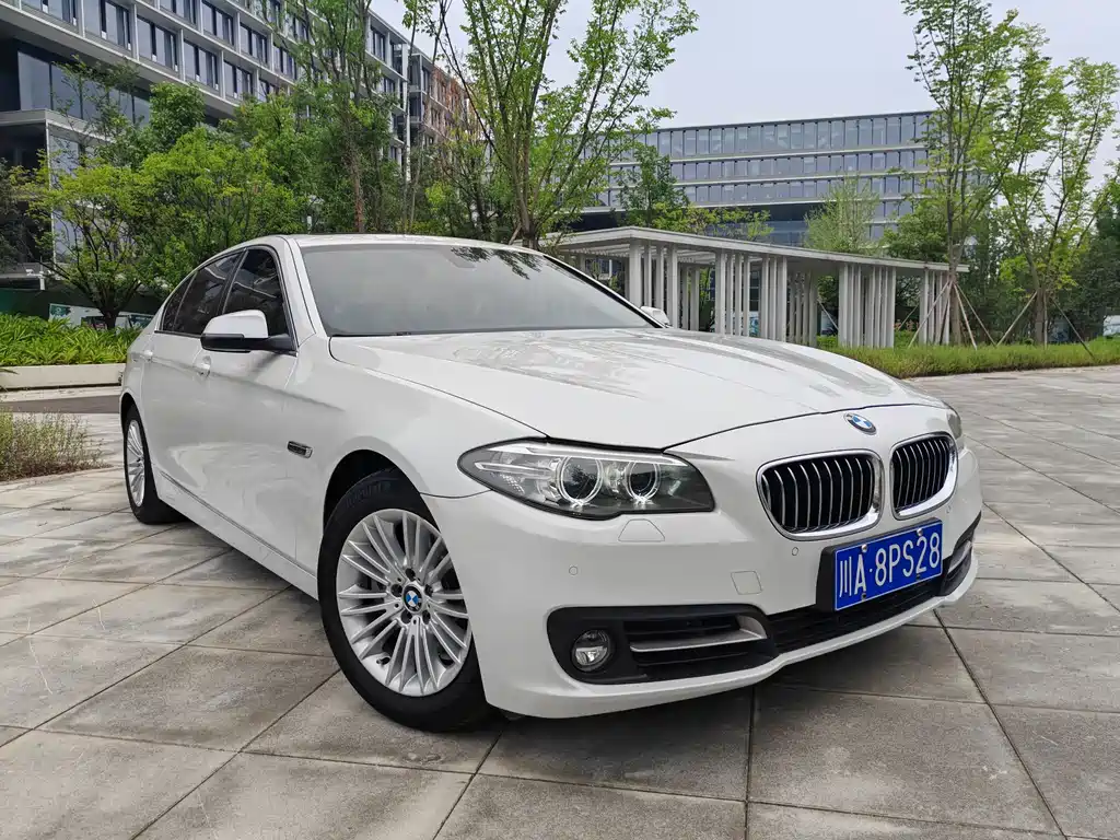 BMW 5 Series 5 2014 525Li Lead
