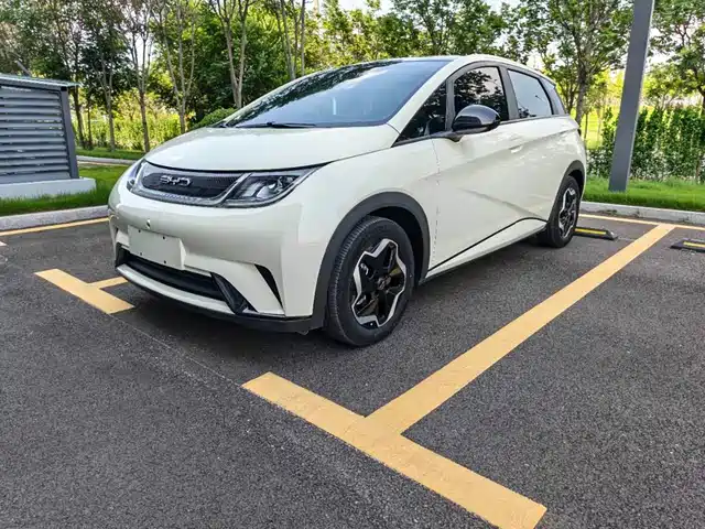 2023 BYD Dolphin