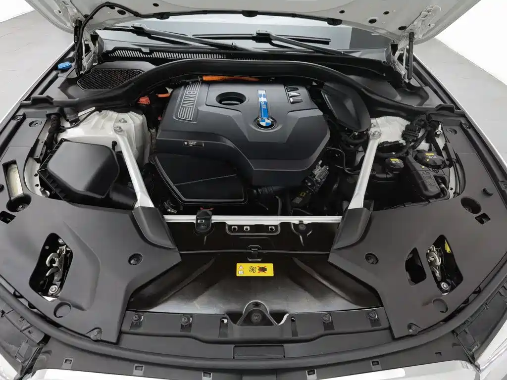BMW 5 Series 5 2020 530Le Luxury