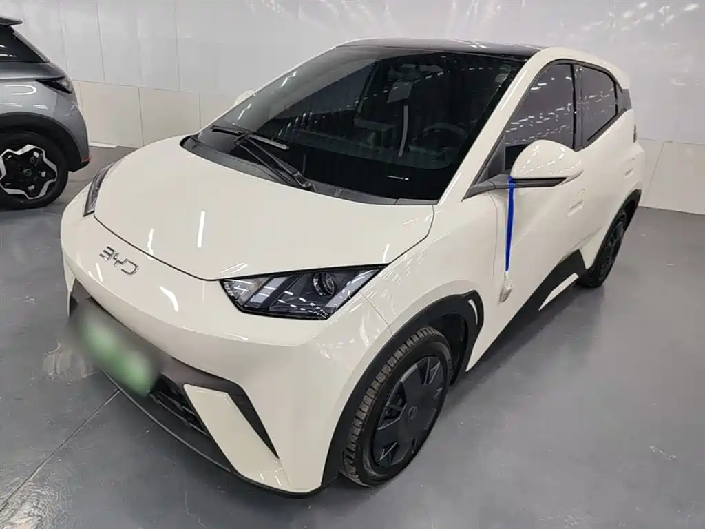 Byd Seagull 2024