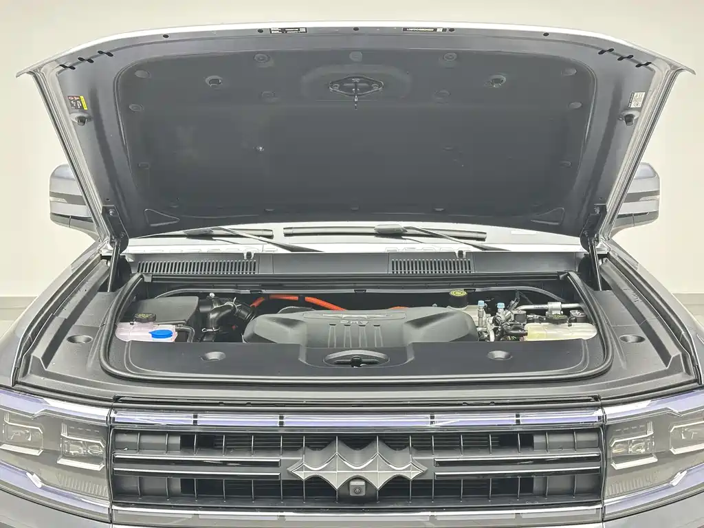 FANG CHENG BAO LEOPARD 5