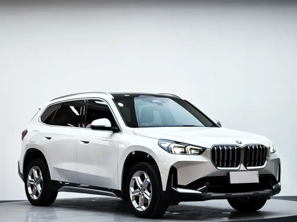 BMW X1 — миниатюра 3