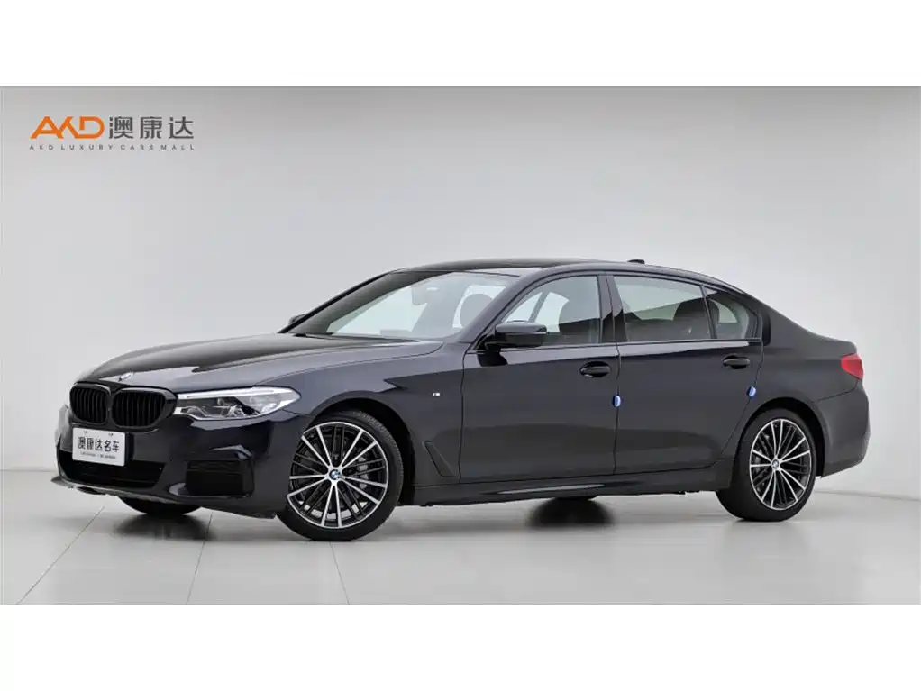 BMW 5 Series 2019