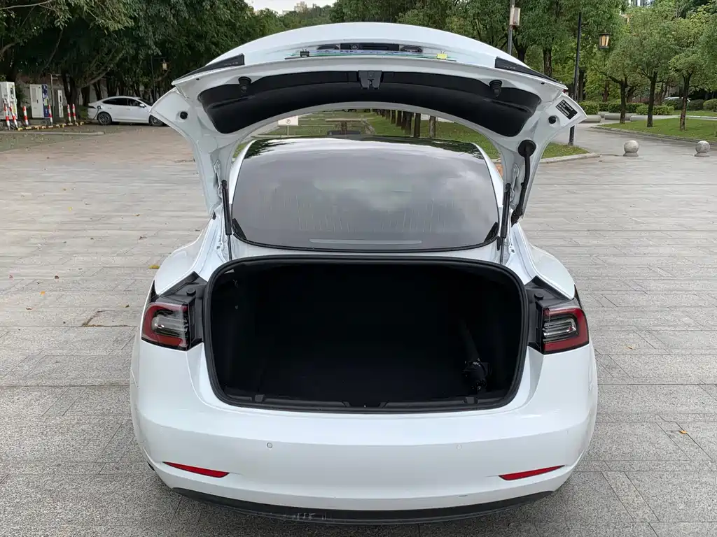 Tesla Model 3 — миниатюра 15