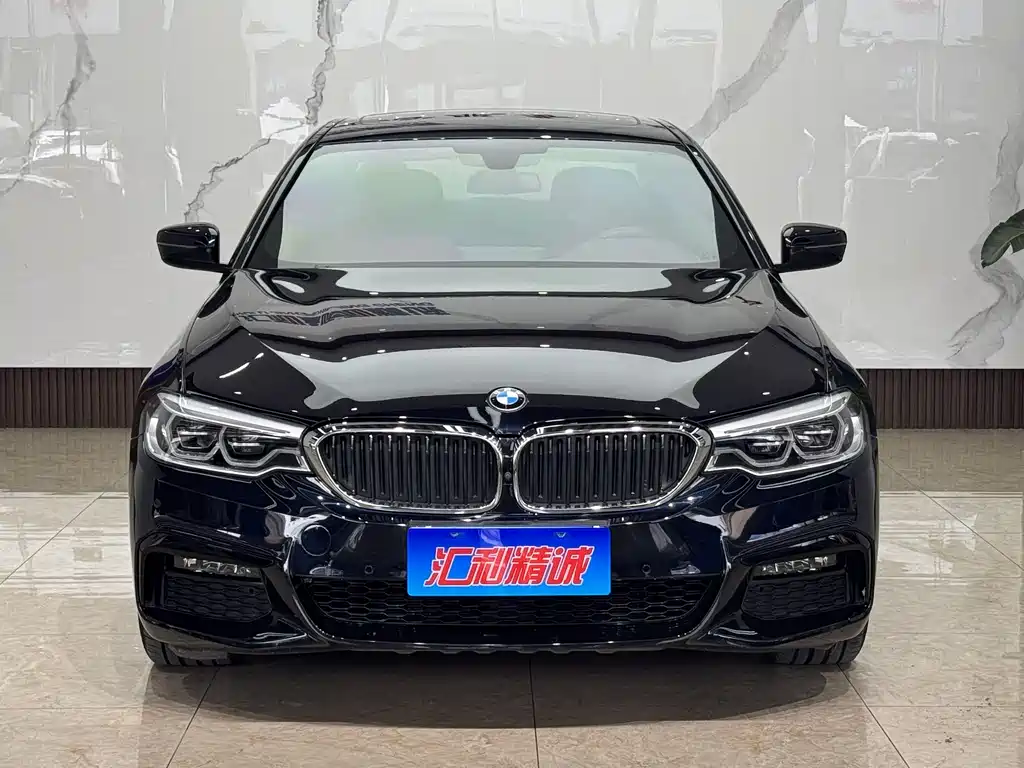 BMW 5 Series 5 2019 530Li Premium M Sport