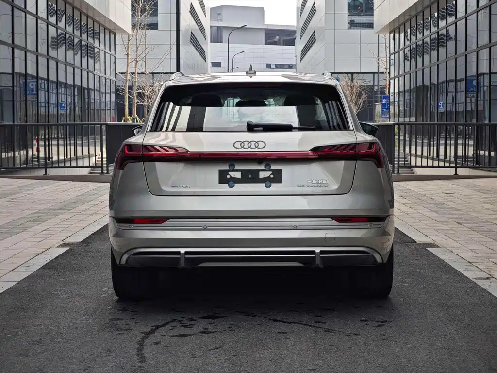 Audi e-tron 2021 50 quattro