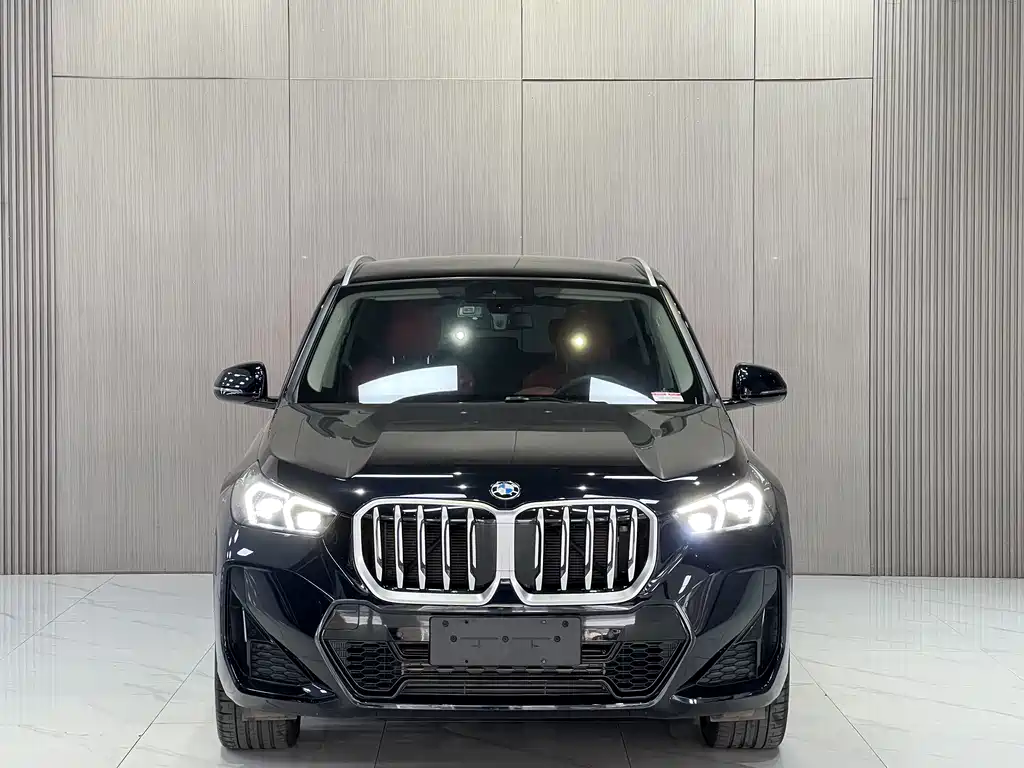 BMW X1 — миниатюра 2