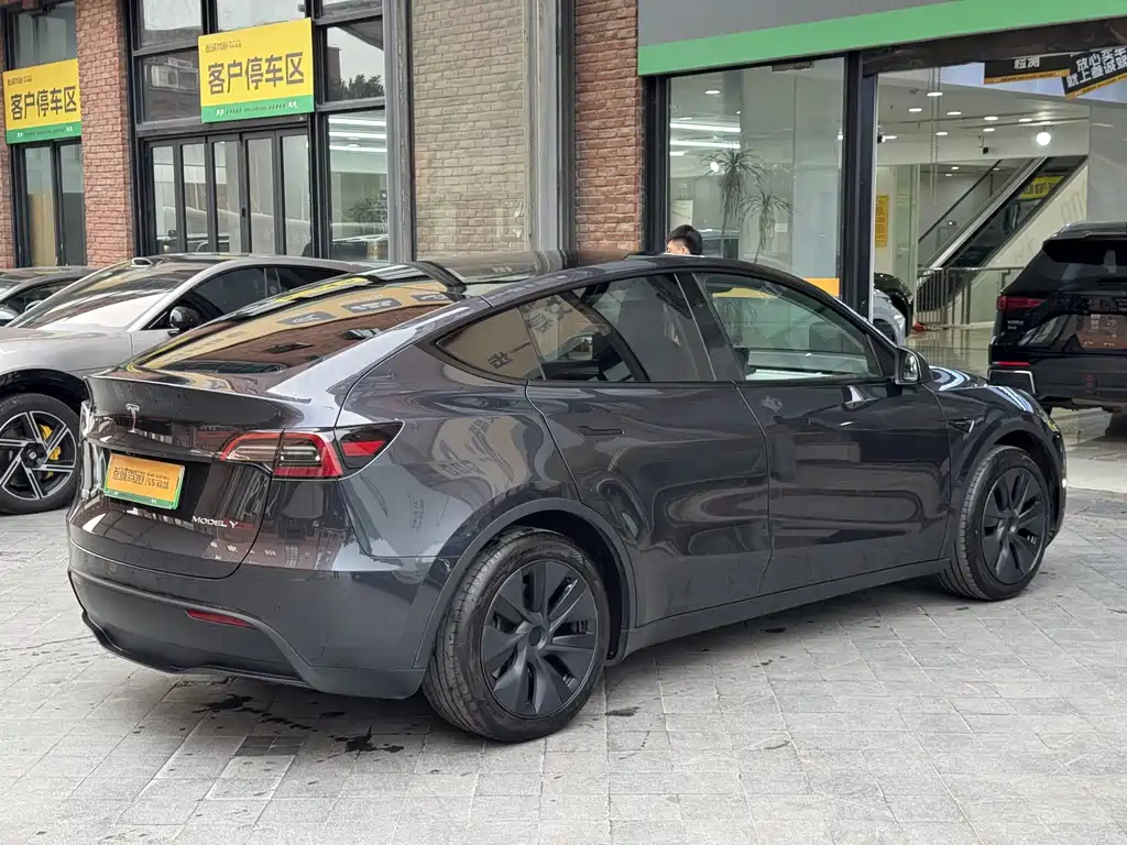 Tesla Model Y — миниатюра 7