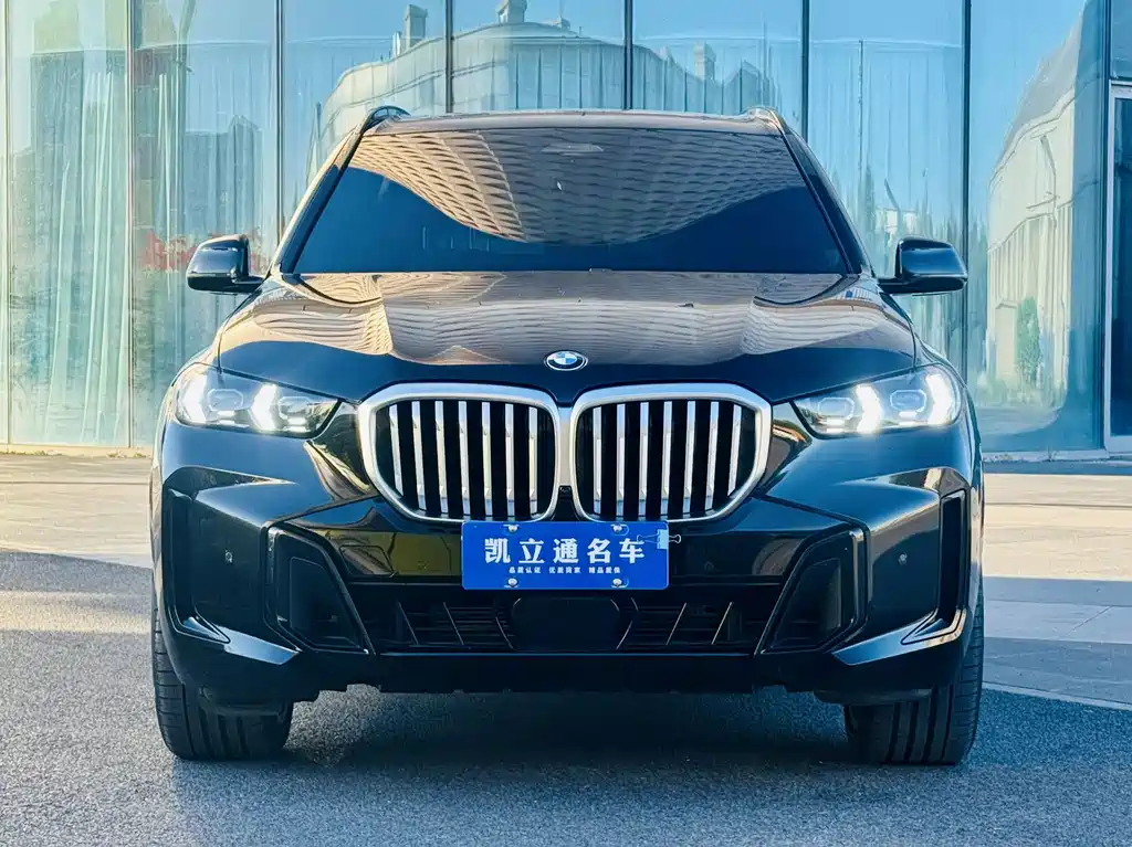 BMW X5 — миниатюра 2