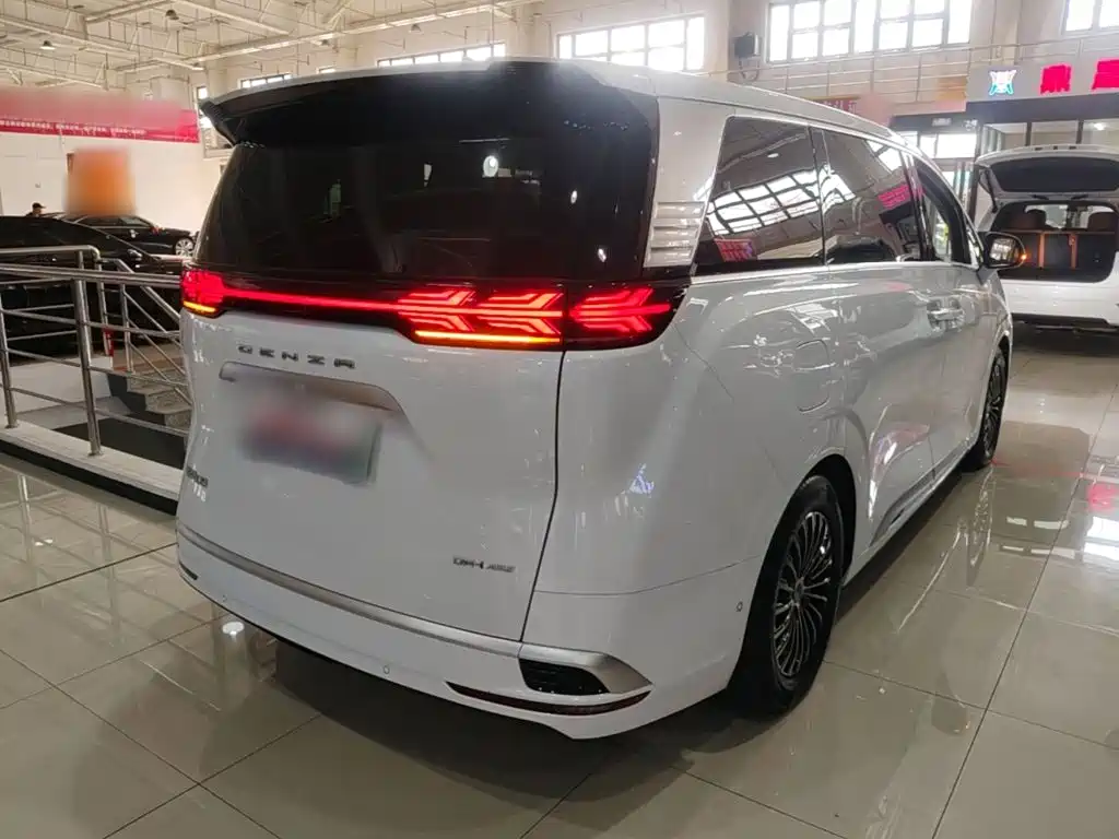Denza Denza D9 — миниатюра 7