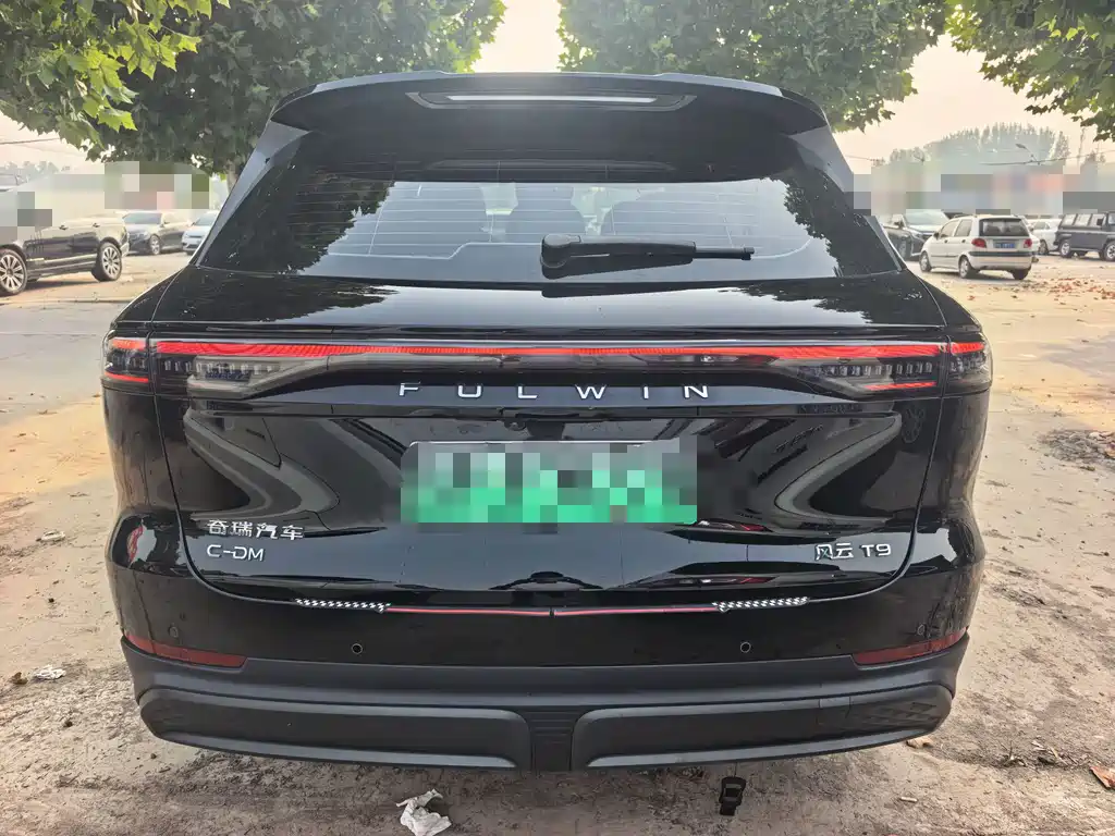Fulwin Fengyun T9 — миниатюра 9