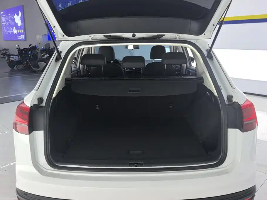 Volkswagen Tayron 2019 330TSI Luxury VI
