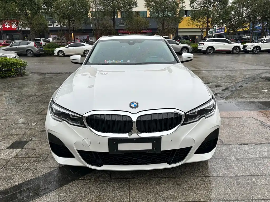 BMW 3 Series — миниатюра 2