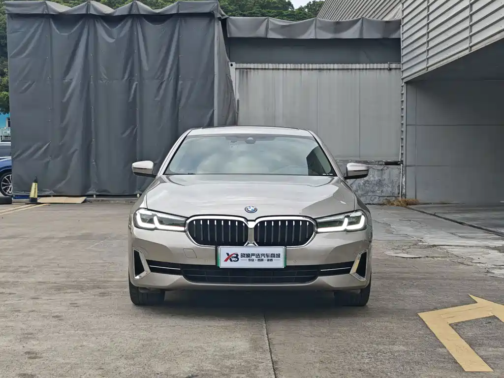 BMW 5 Series New Energy — миниатюра 2