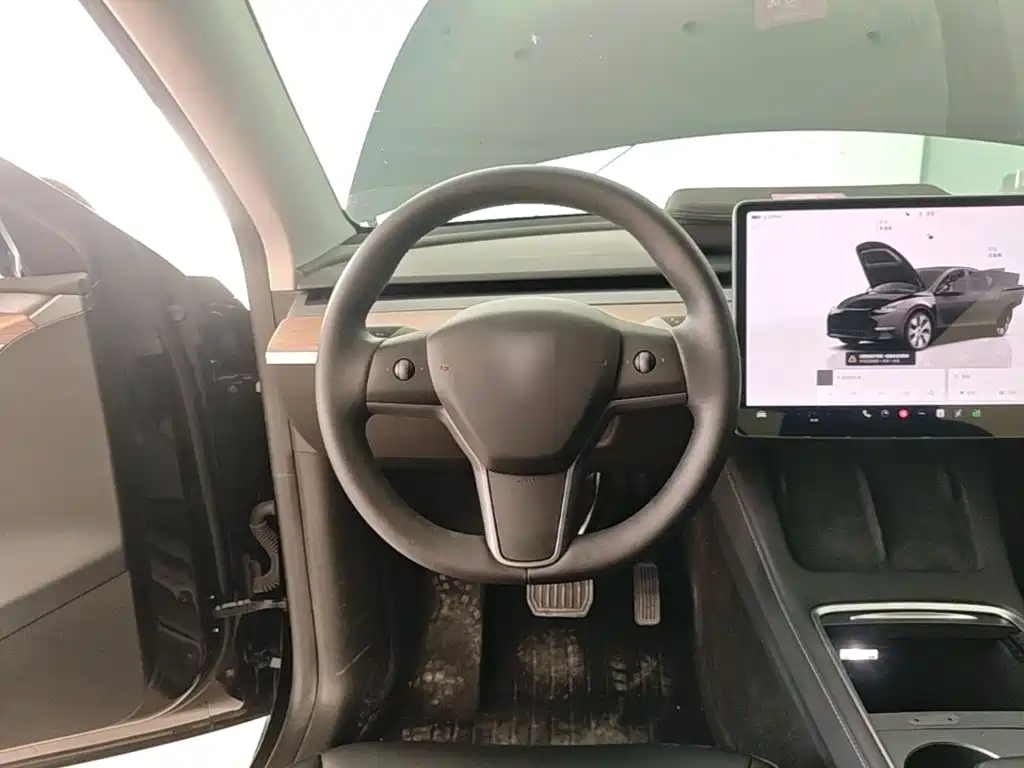 Tesla Model Y — миниатюра 11