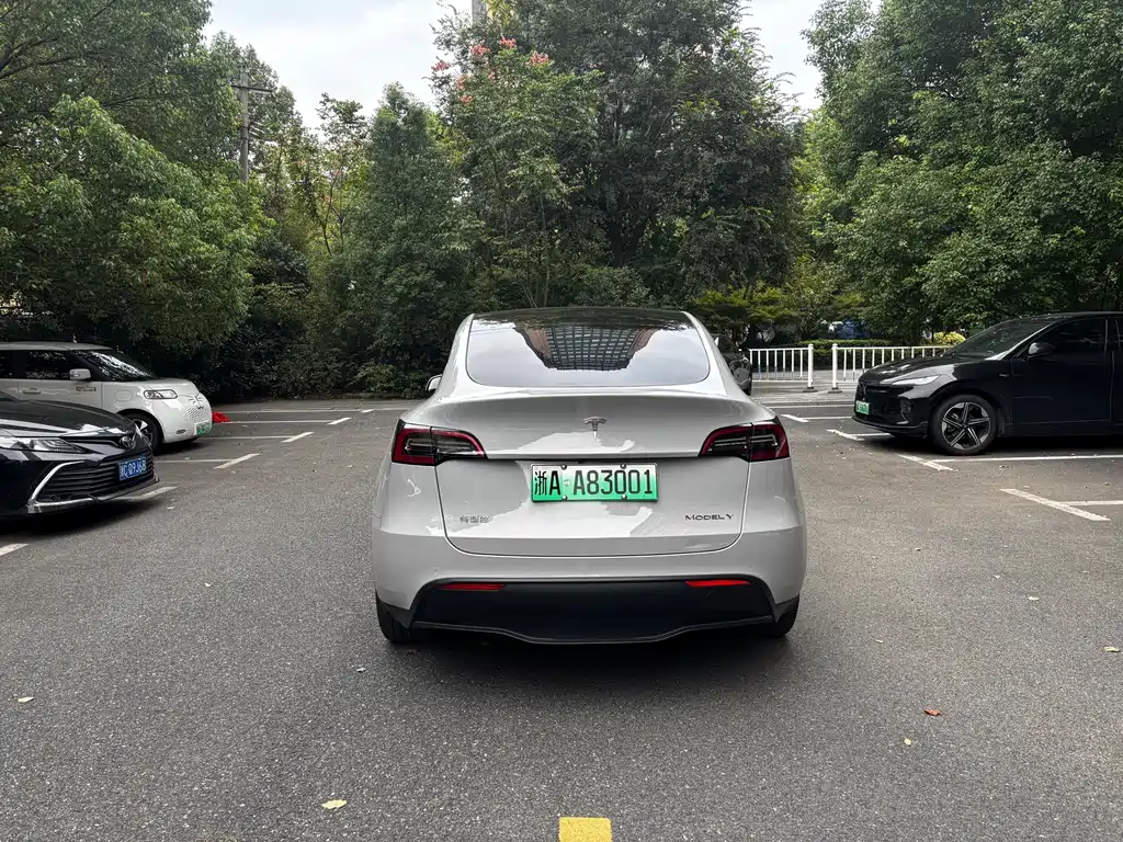 Tesla Model Y — миниатюра 4