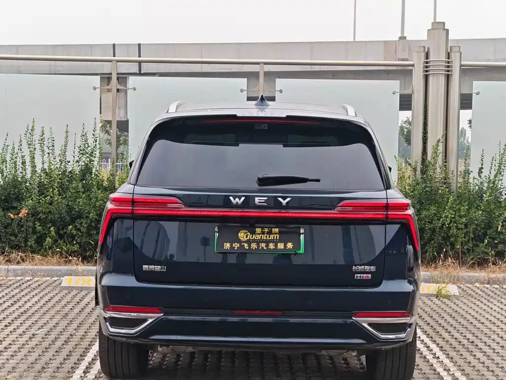 Wey Wey Lanshan — миниатюра 4