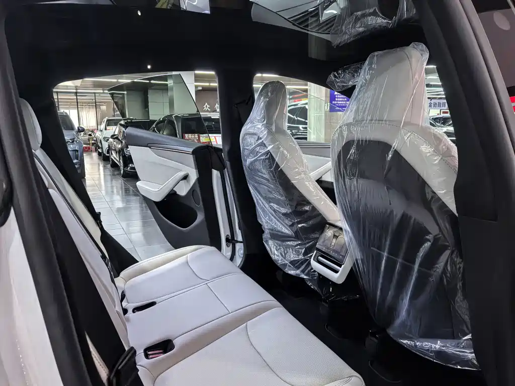 Tesla Model Y — миниатюра 9