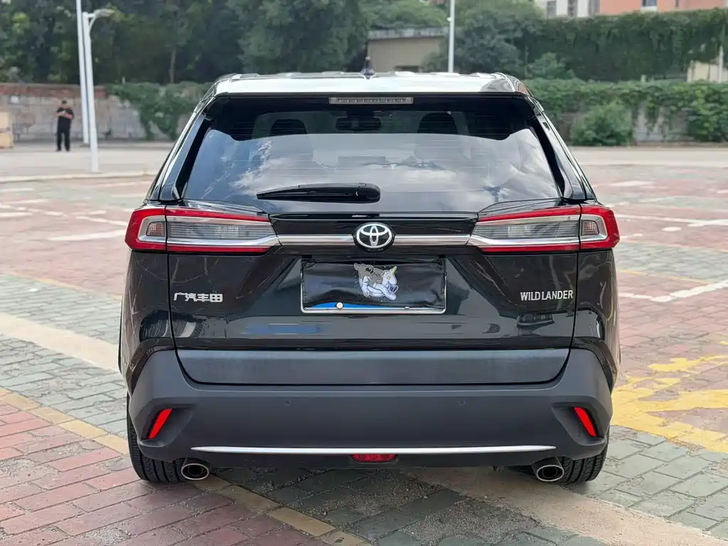 Toyota Wildlander — миниатюра 9
