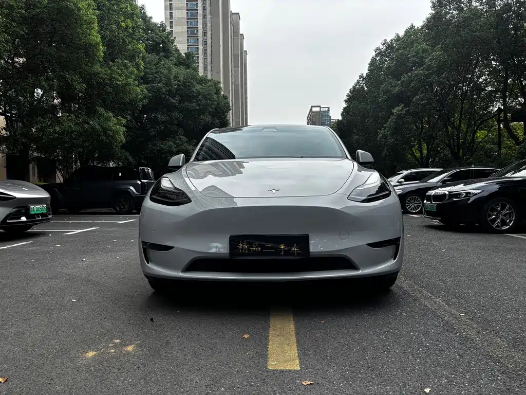 Tesla Model Y — миниатюра 2