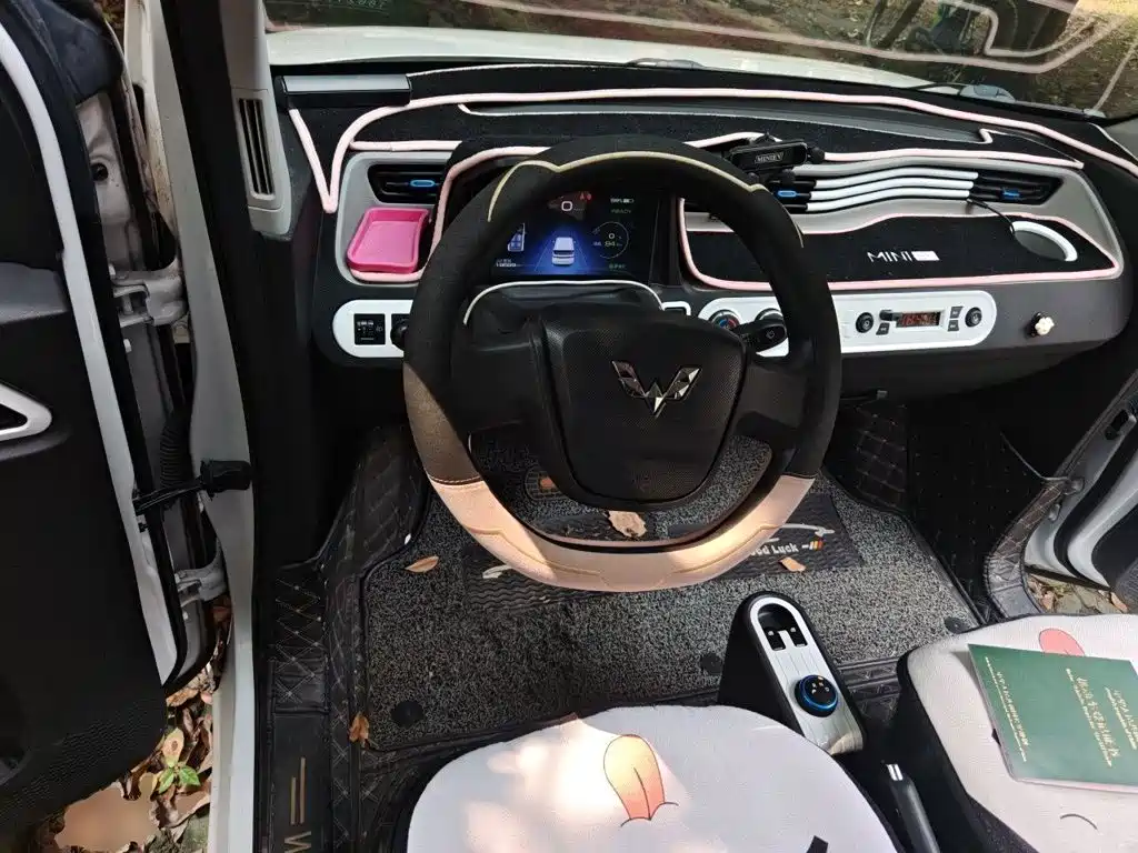 Wuling Mini EV MINIEV 2020 Enjoy