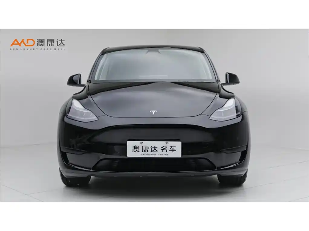 Tesla Model Y — миниатюра 2