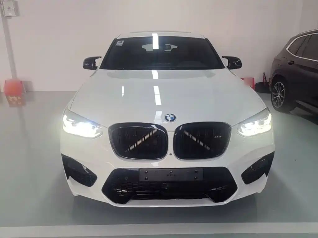 BMW X4 — миниатюра 3