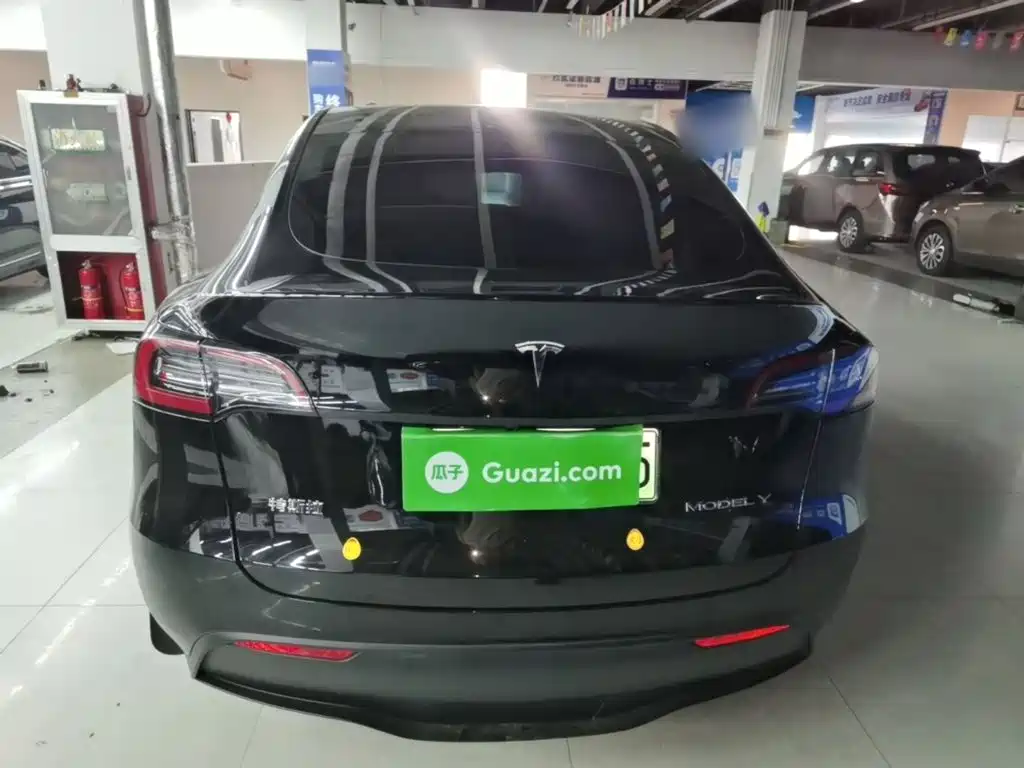 Tesla Model Y — миниатюра 6