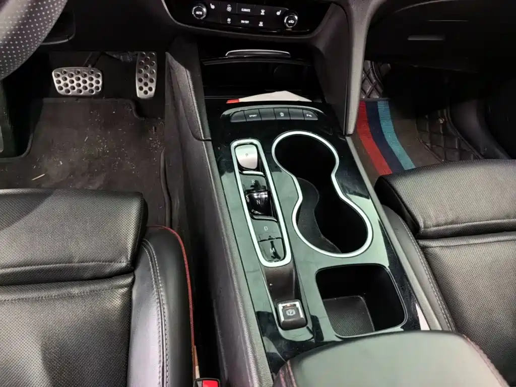 Buick Regal — миниатюра 14