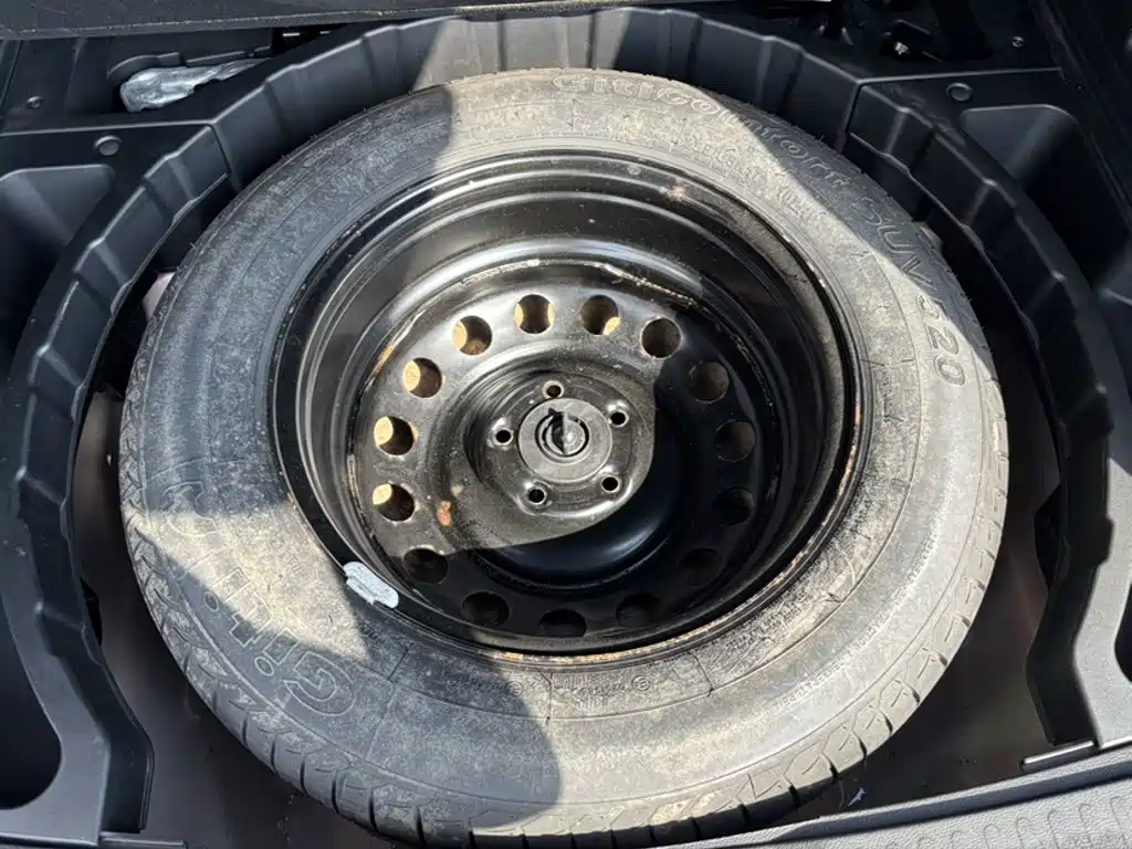 BYD Song — миниатюра 3