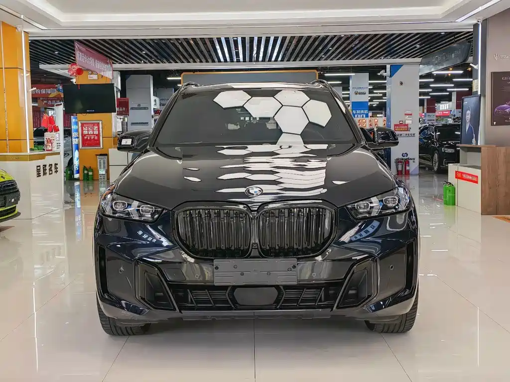 BMW X5 — миниатюра 2