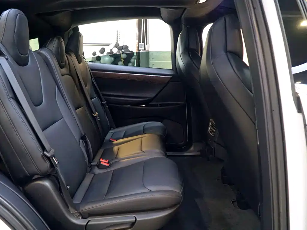 Tesla Model X 2017 Model X 100D