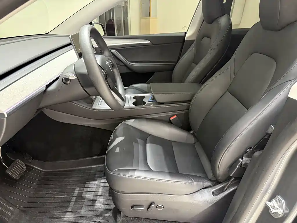 Tesla Model Y — миниатюра 5