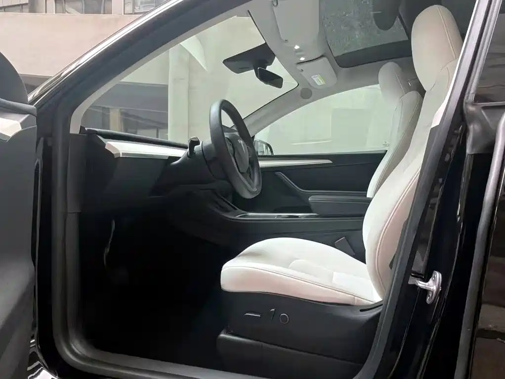Tesla Model Y — миниатюра 9