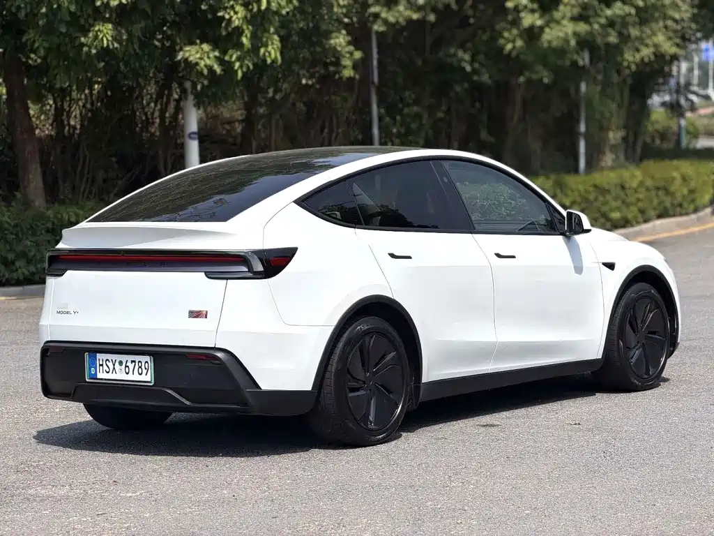 Tesla Model Y — миниатюра 6