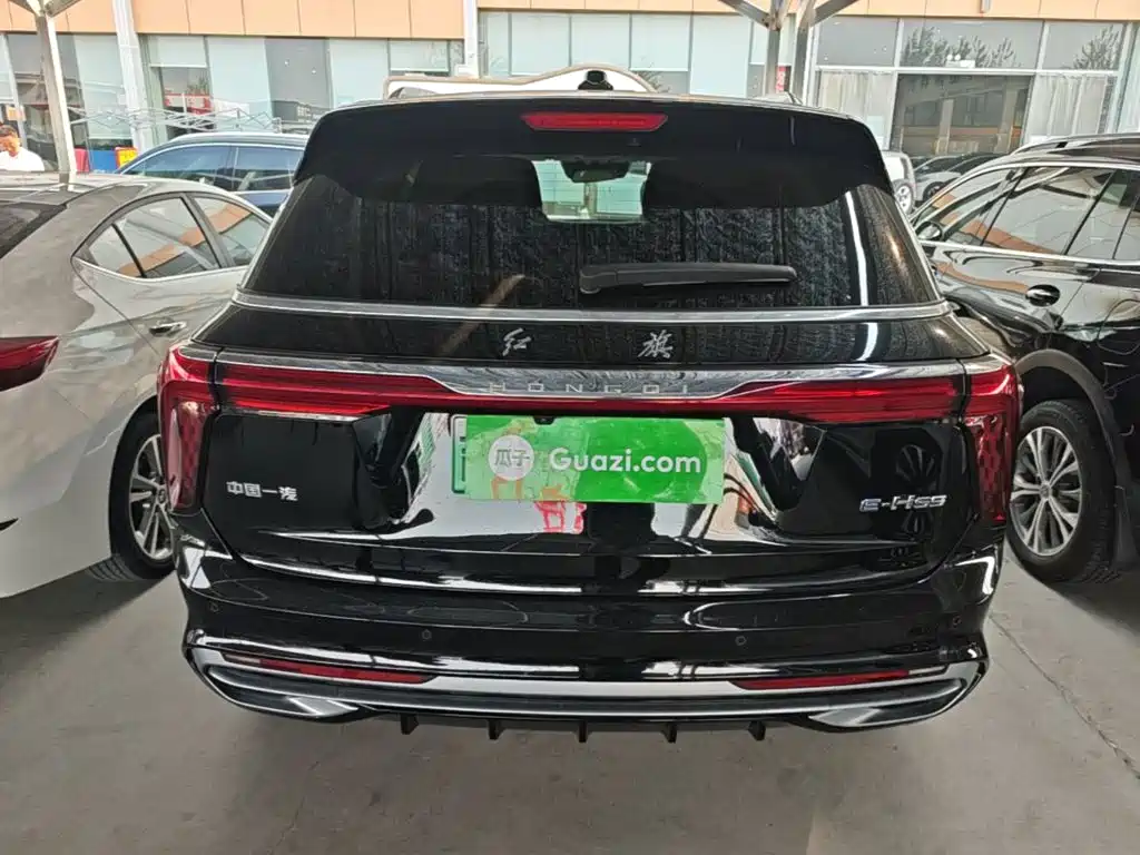 Hongqi Hongqi E-HS9 — миниатюра 6