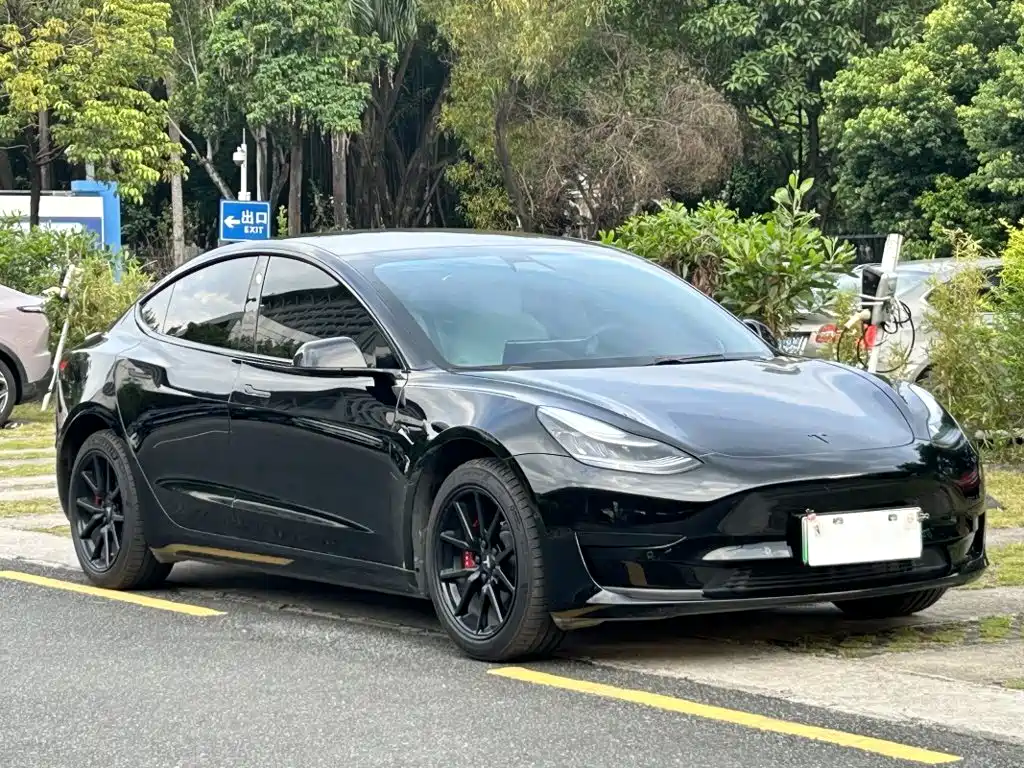 Tesla Model 3 — миниатюра 3
