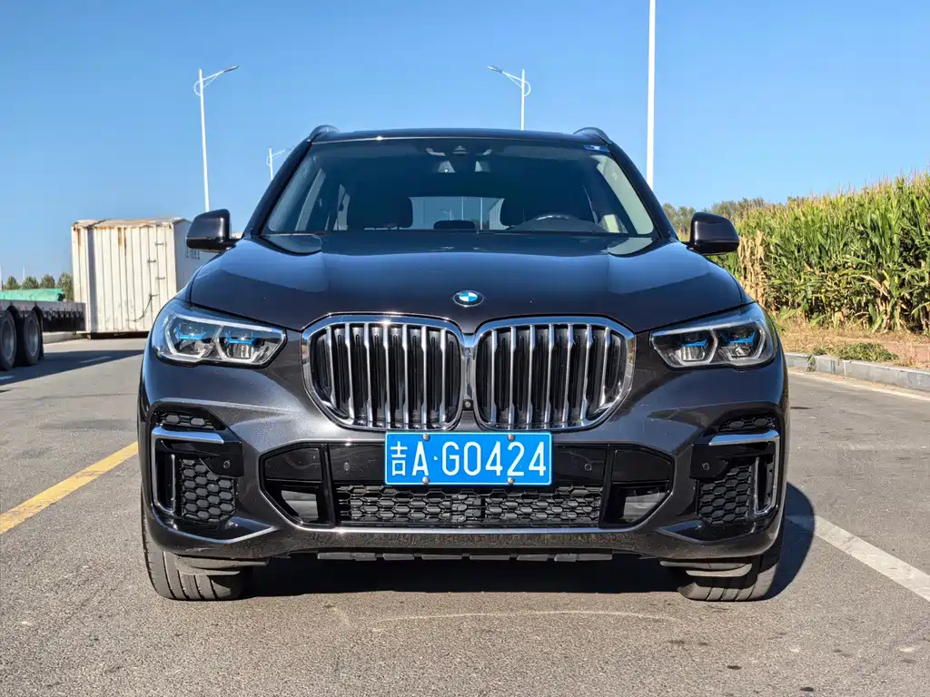 BMW X5 — миниатюра 2