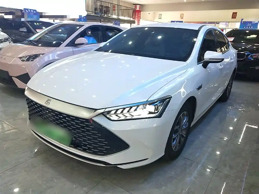 Byd Qin PLUS 2024