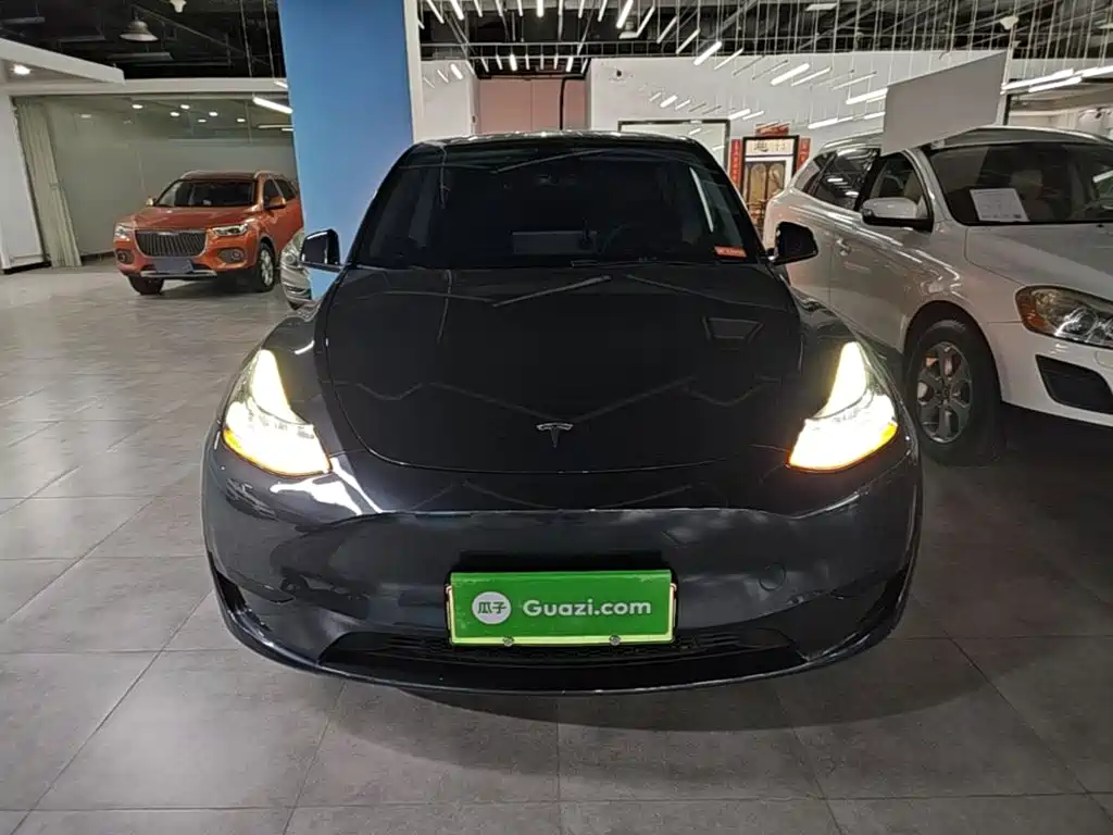 Tesla Model Y — миниатюра 3